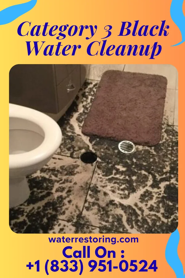 Category 3 Black Water Cleanup in Pacifica, CA